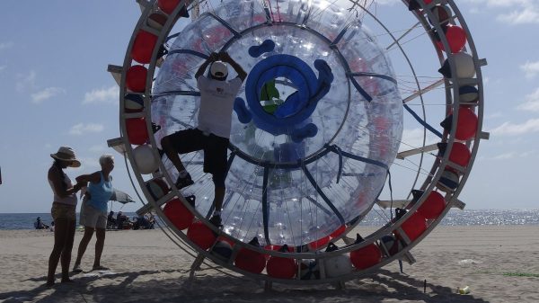 Human-sized hamster wheel